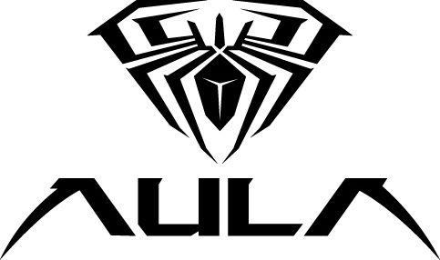 AULA 